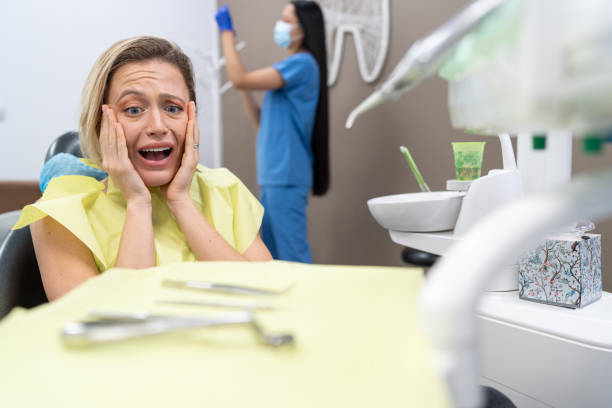 Best Root Canal Emergency Dentist  in Port Richey, FL